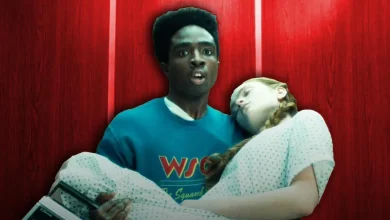 Stranger Things 5 The Finale Theatrical Launch: Here's the Biggest Details that You Need to Know