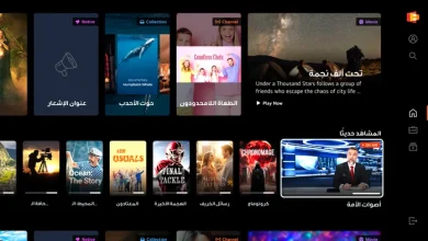 Streaming Service ‘LG Channels’ Makes Its Middle East Debut, Accelerating Global Ecosystem Expansion