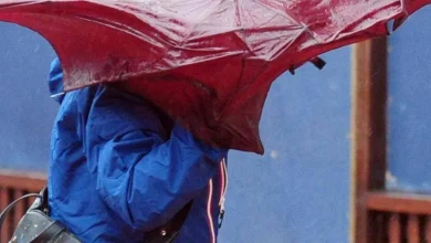 Strong winds due as Met Éireann issues weather warning for three counties