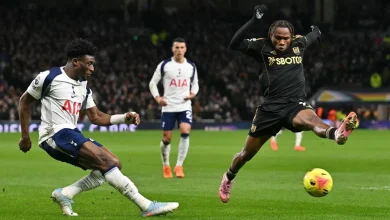 Succeeding with Iwobi at Fulham has erased Chukwueze's AC Milan flop