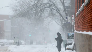 Sud du Québec | Neige et vent au programme