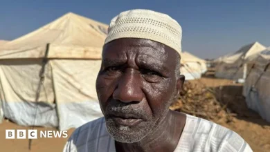 Sudan civil war: The terrifying escape from el-Fasher in Darfur