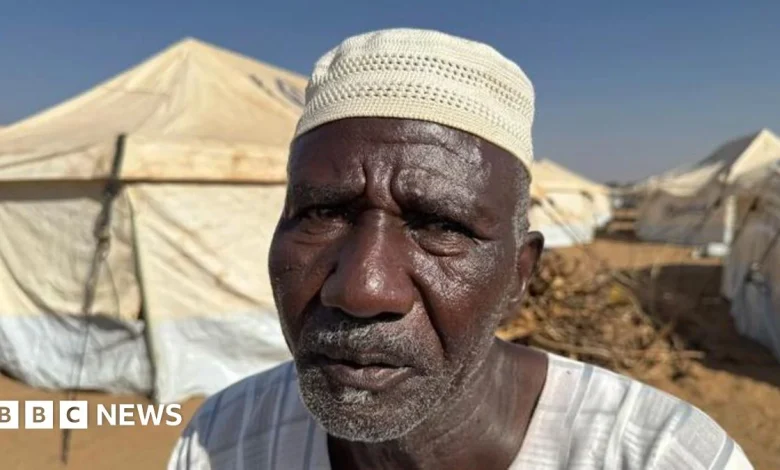 Sudan civil war: The terrifying escape from el-Fasher in Darfur