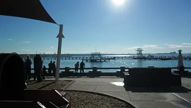 Summer is here…apparently