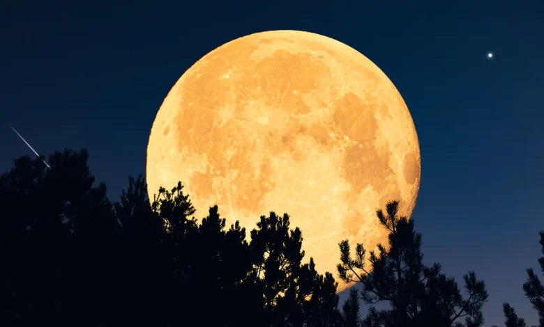 Super Lune du 5 décembre 2025 : 4 signes seront particulièrement impactés par la dernière pleine lune de l'année (la plus extrême qu'on connaîtra d'ici 2042)