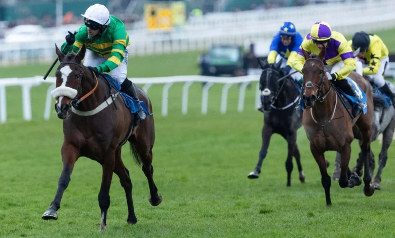 Support The Hunt Family December Gold Cup: Hoe Joly Smoke and Jagwar top market