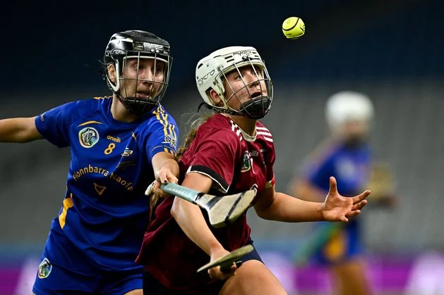 Surgeries, travelling and Christmas plans put on ice after camogie stalemate stirs the pot for exciting 2026 reunion