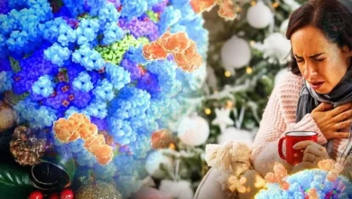 Surging flu set to ruin Christmas for many families as public warned to get vaccine