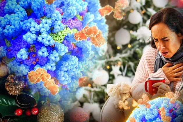 Surging flu set to ruin Christmas for many families as public warned to get vaccine