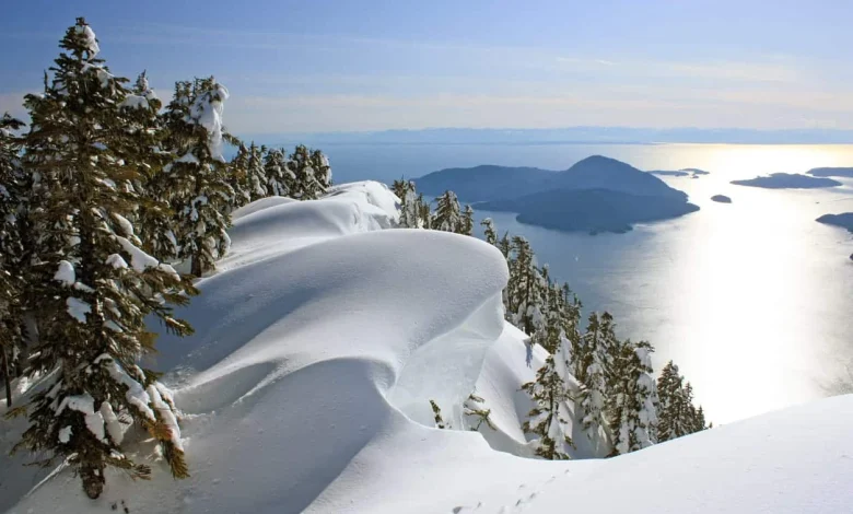 Surprise CEC draw sees CRS cut-off drop to lowest in 2025