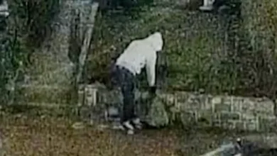 Suspect arrested in January 6 DC pipe bomb case