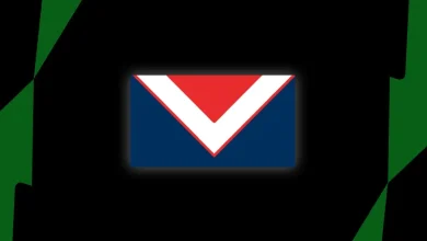 Sydney Roosters sign released Eels outside back