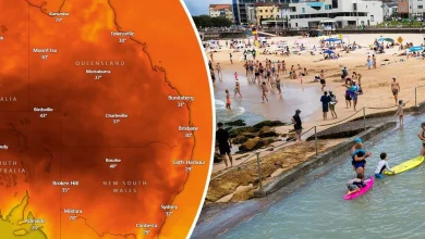 Sydney's temperatures top 40 degrees as major heatwave grips the city