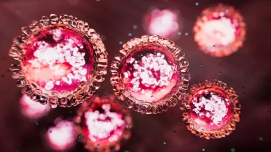 Tasmanian teenager isolating after measles diagnosis