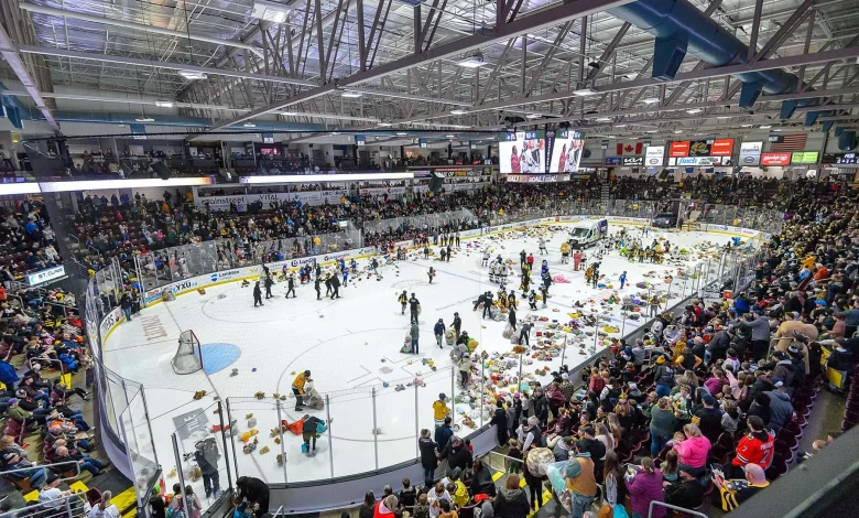 Teddy Bear Toss victory snaps Sarnia Sting losing skid