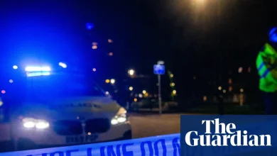 Teenage boy arrested on suspicion of murder over death of girl, 9, in Somerset