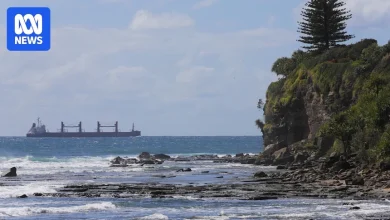 Teenage girl dies after falling from cliff at Moffat Beach
