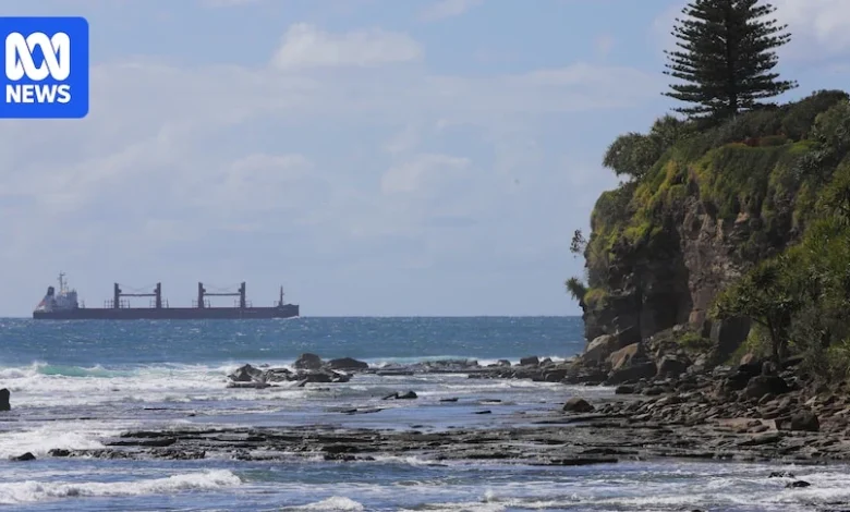 Teenage girl dies after falling from cliff at Moffat Beach