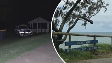 Teenager falls to her death while trying to take photo at Sunshine Coast lookout