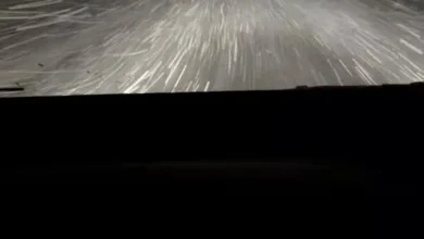 Tesla’s FSD Triumph: Navigating Snowstorms with Precision and Safety