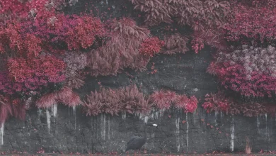 The Album of the Year 2025 According to Our Community!