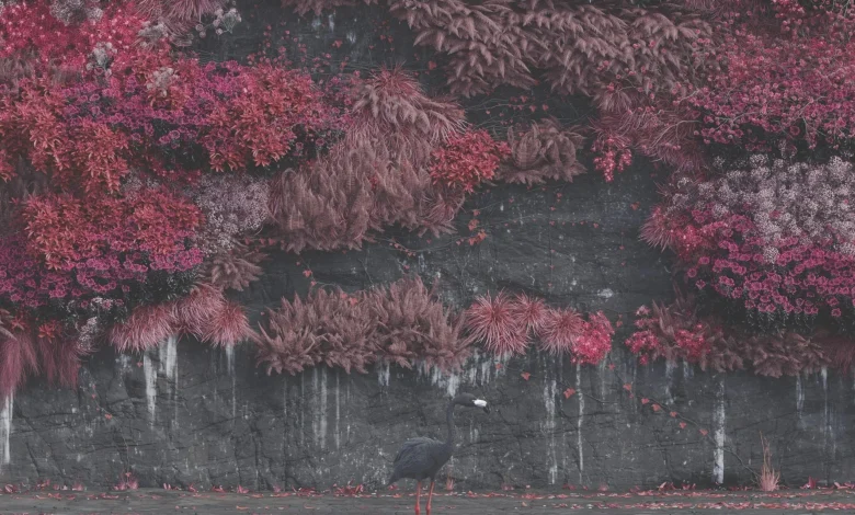 The Album of the Year 2025 According to Our Community!