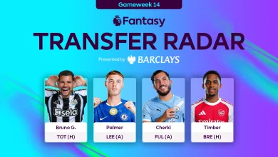 The Scout's FPL Gameweek 14 transfer radar