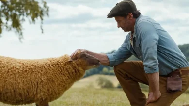 The Sheep Detectives | Chernobyl, Succession and Game Of Thrones alumni assemble for ovine crime trailer