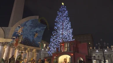 The Vatican's countdown to Christmas: The lighting of St. Peter’s Square