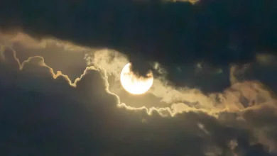 The last Supermoon of 2025 will rise this week. Here's when to view it