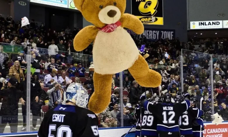 The life of a teddy bear: From cheering a Victoria goal to snuggling a child