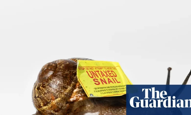 The snail farm don: is this the most brazen tax avoidance scheme of all time? – podcast