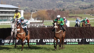 'There’s one horse with the potential to blow the race away' - Paul Kealy on a Cheltenham runner who could prove a class above his rivals