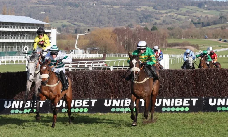 'There’s one horse with the potential to blow the race away' - Paul Kealy on a Cheltenham runner who could prove a class above his rivals