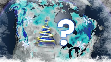 These Canadian locales have the best chances of seeing a white Christmas this year