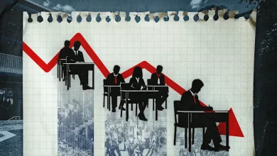 These types of schools are becoming harder to find in the HSC rankings