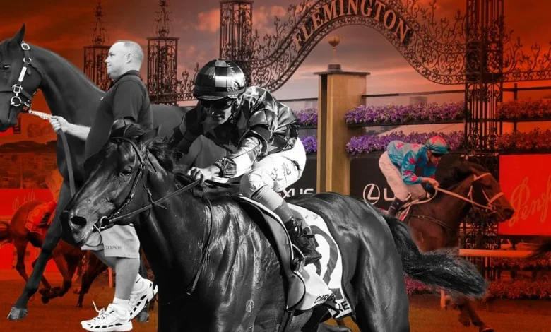 Thoroughbred Breeders NSW Calls for Racing NSW Board to Resign Over Black Type Governance Concerns