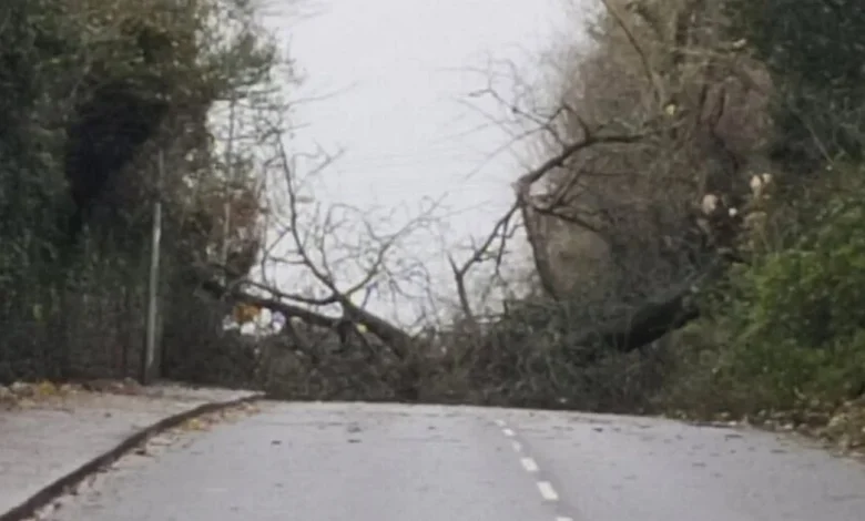 Thousands of Cork homes without power as Storm Bram sweeps across Ireland