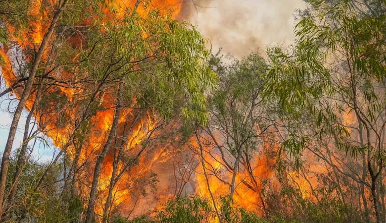 Thunderstorms, high winds fuel dangerous bushfires in WA’s Great Southern