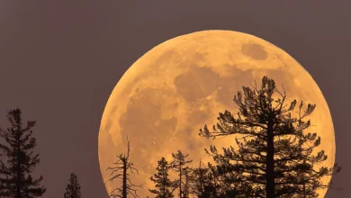 Thursday's Cold Moon Is the Last Supermoon of the Year. Here's How and When to View It