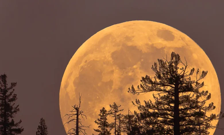 Thursday's Cold Moon Is the Last Supermoon of the Year. Here's How and When to View It