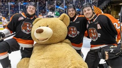 Tigers Beat Wild 5-1 In Teddy Bear Toss Thriller