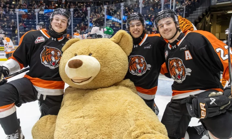 Tigers Beat Wild 5-1 In Teddy Bear Toss Thriller