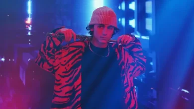 TikTok's Timothée Chalamet Conspiracy Theory, Explained