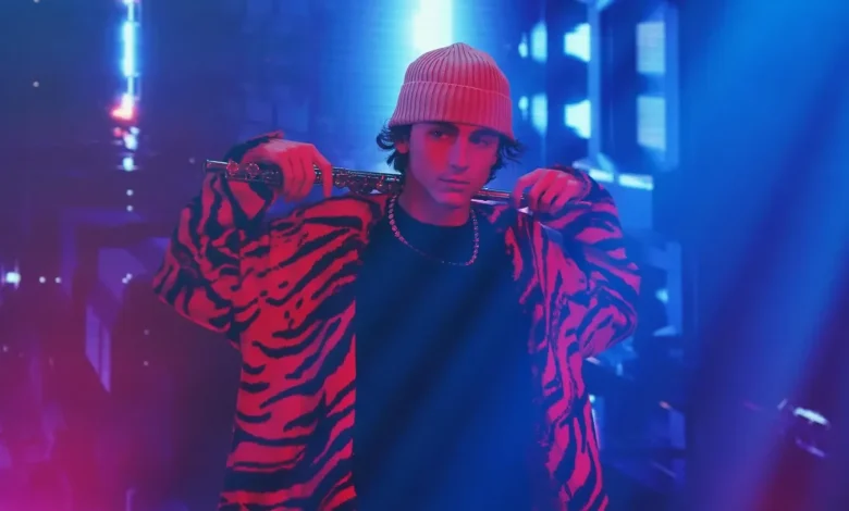 TikTok's Timothée Chalamet Conspiracy Theory, Explained