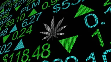 Tilray Stock Rockets 32% After Hours: What Sparked the Surge?