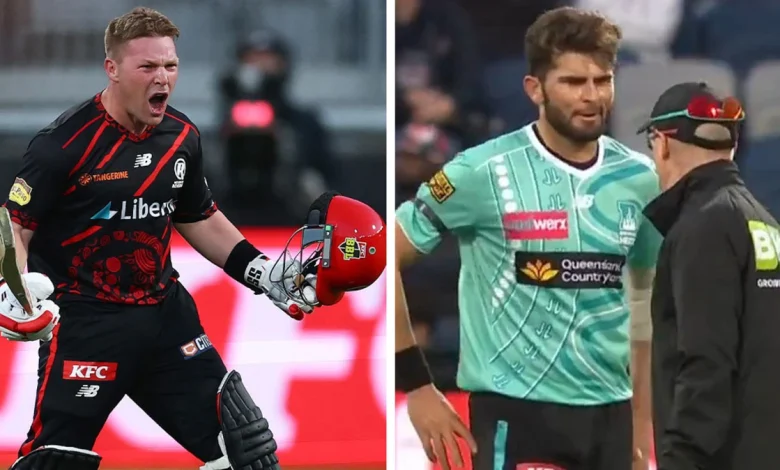 Tim Seifert pumps first century of BBL season, Shaheen Shah Afridi forced to stop bowling