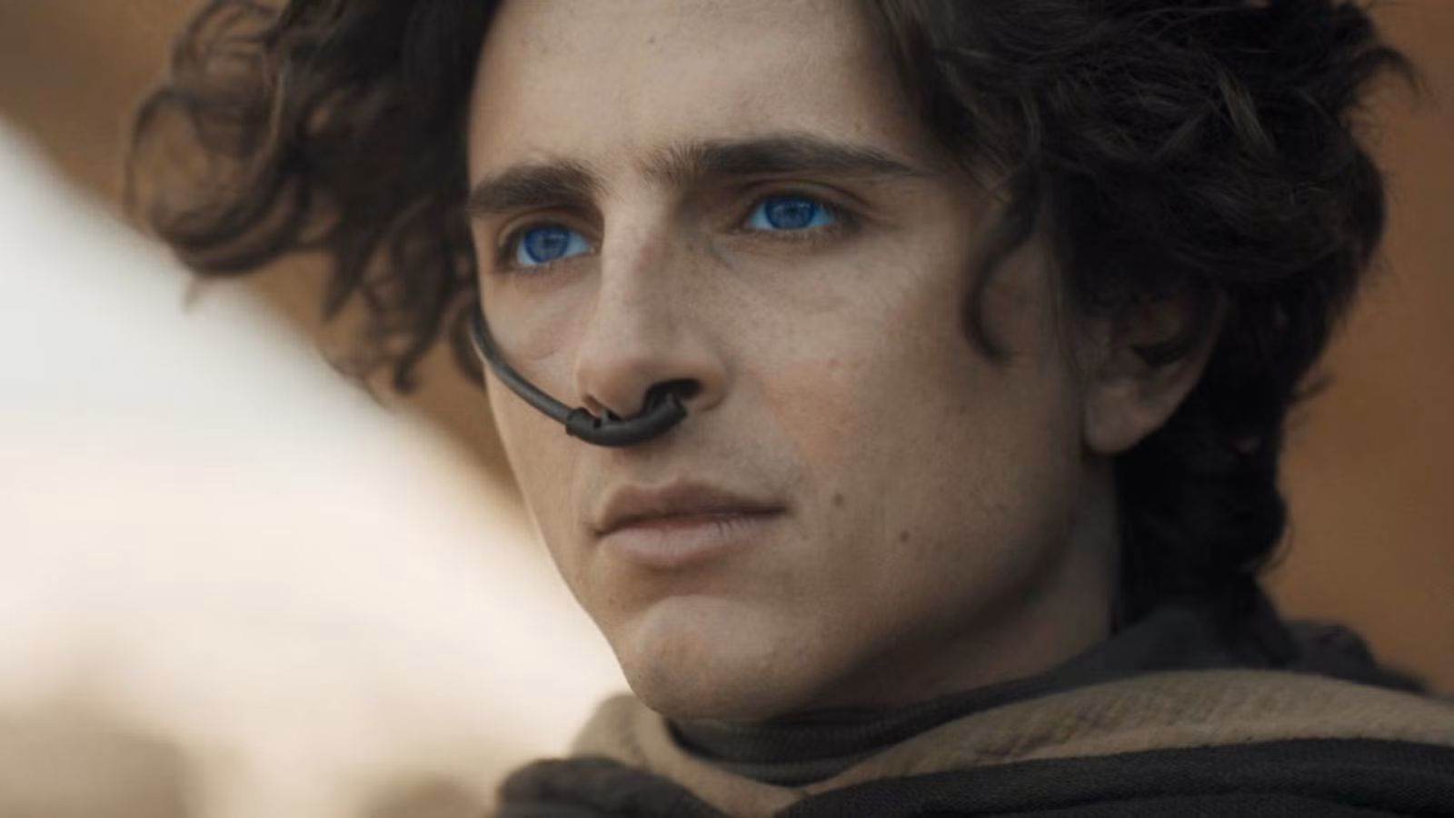 Timothée Chalamet Confirms Dune 3 Time Jump Length