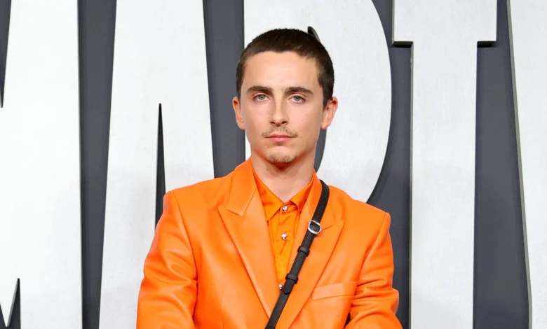 Timothée Chalamet responds to rumours that he's UK alt-rapper EsDeeKid: "All will be revealed in due time"