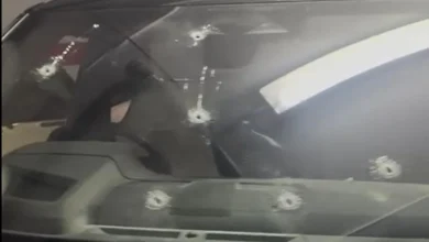 Tirotean en Orihuela Costa al jefe de una banda que extorsionó a clubes cannábicos de la Vega Baja